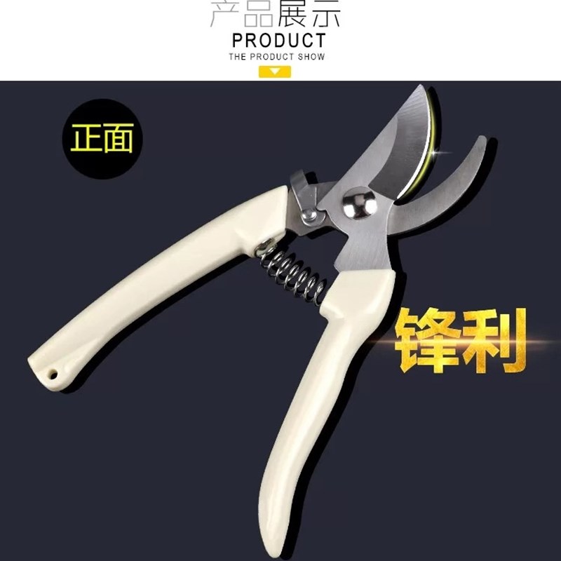 修剪树枝剪刀剪枝园林粗枝果树花剪盆景园艺花强力花艺剪花枝剪子