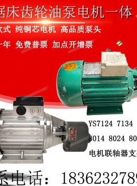 70正B龙方7B4华10CB4370/-达金齿轮油泵W/5512/46YS锯床/13B电机