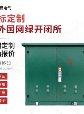 户外国网绿色开关柜 高压成套配电柜 电缆分接箱 非标可定