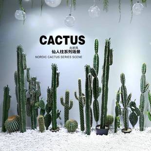 仿真仙人掌直播间装 饰摆件大型植物仙人柱盆栽室内橱窗造景假绿植