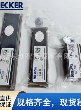 BECKER贝克真空泵碳片VT4.40/KVT3.80石墨叶片进口甩片WN124-162