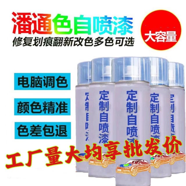 PANTONE自动手摇喷漆潘通国际色卡蓝喷漆电脑调色自喷漆定制油漆