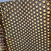 大筒单块尾皮乐器配件 大王皮 花鼓大筒二胡圆筒配件 松花蛇皮