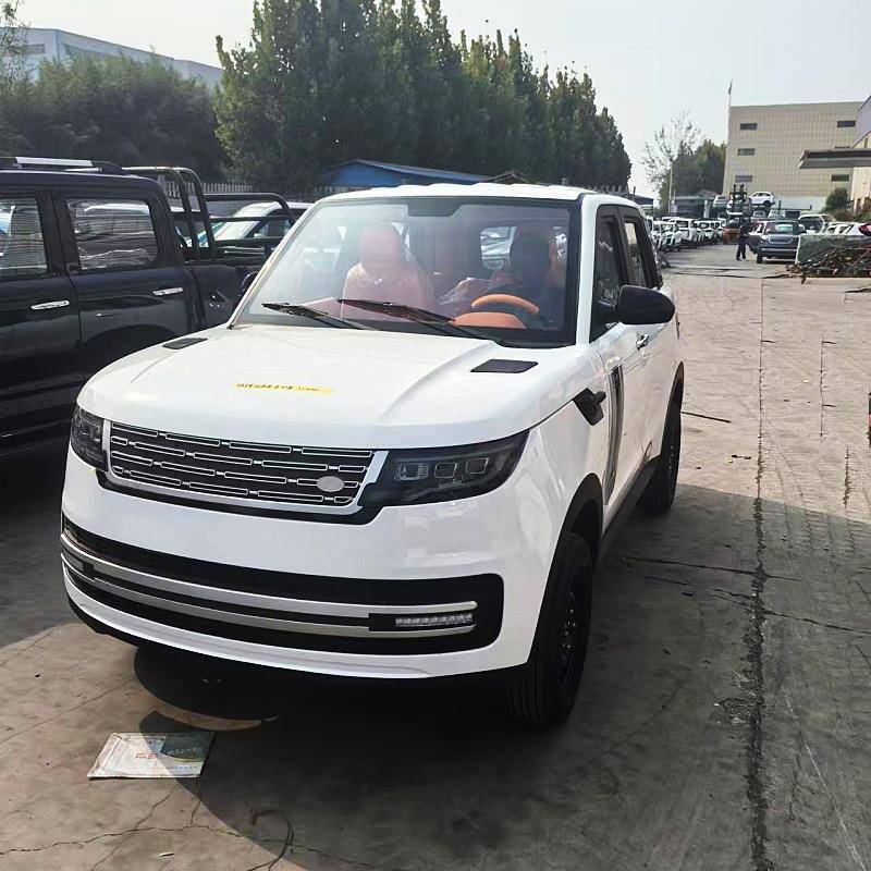 高端豪华家用电轿冷暖空调上下班接孩子代步车外贸出口封闭四轮车