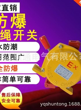 KLT2-I双微动拉线皮带r机输送机事故紧急急停开关HFKLT2-1两开两