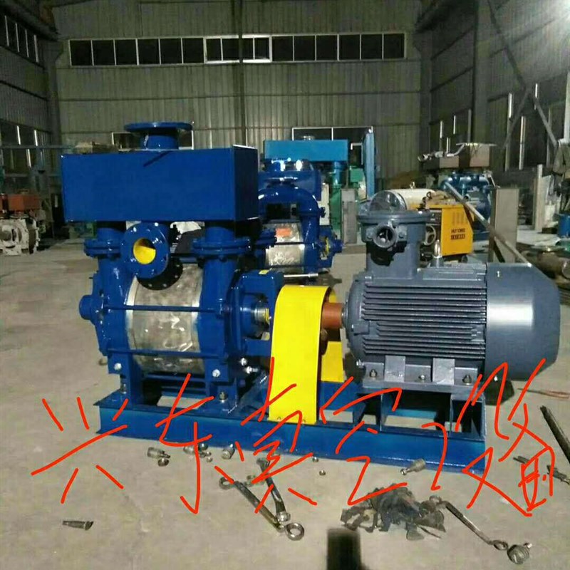 源头厂家水环真空泵2BEA252水环L式真空泵造纸配套水环泵