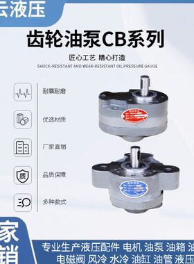 B4B齿轮油泵 B632BB0B16 25-10 8 40B 10  C B 02.5BB520B 0 6B3