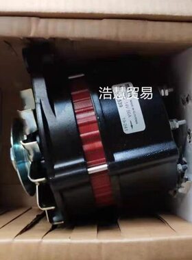 BUKH卜克DV24 DV29救生艇发电机008E7139发电机612H0520发电机