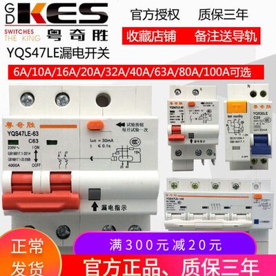 粤奇胜YQS47漏电保护器开关空调热水器220V单相家用总开关2P63A