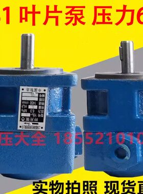 油压叶片泵YB1-10 YBI-6 YB1-4 6.3 12 16 25 32 40 50 63 80 100