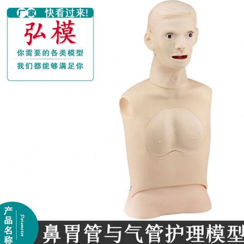 弘模  鼻胃管与气管训练护理模型洗胃练习模特鼻胃管上半身模拟人