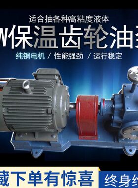 BW12/18保温泵高温自吸蒸汽导热油加热抽石蜡树脂松香乳化沥青泵