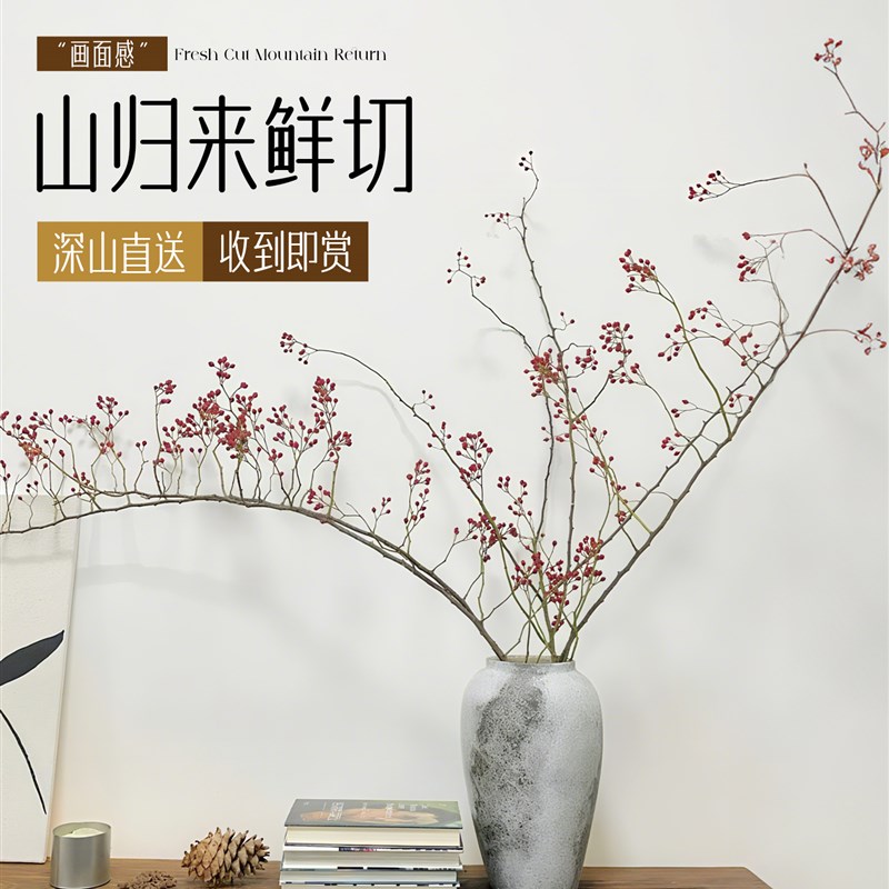 山归来鲜a切花蔷薇果干枝条水培植物室内客厅水养鲜花绿植家用插