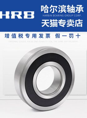 2HR56   哈尔滨轴承6总厂204  6B 轴承202066RS32020 12RS