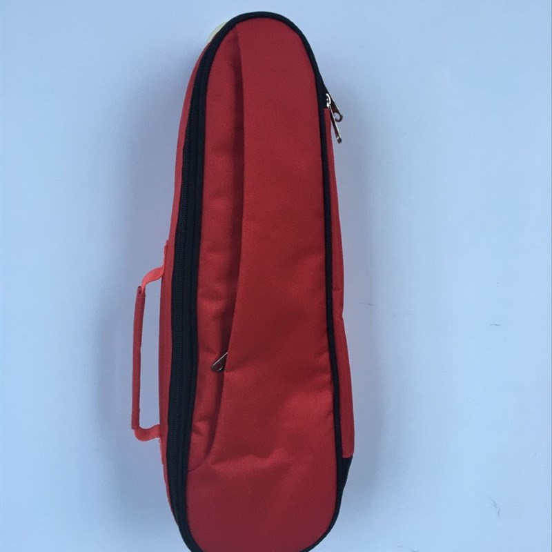 葫芦丝巴乌包单只定点装降B调C调单双肩两用手提加厚防U水可印log