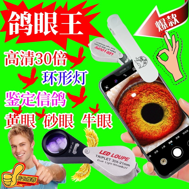 鸽眼放大镜30倍信鸽用品具高清手机微距拍照便携式老花带灯led 镜