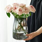 高级感轻奢玻璃花瓶摆件客厅大口径餐桌插花透明水养鲜花玫瑰花瓶