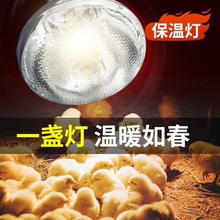 保温灯养殖场专用小鸡育雏猪场小猪用保暖灯烤灯养殖加热取暖灯泡