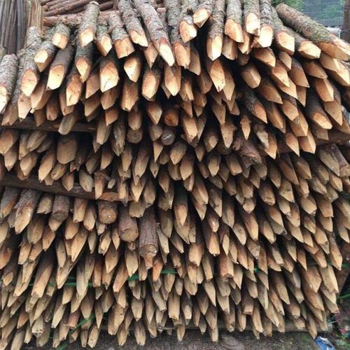 松木桩打桩木杉木户外河道护岸原木绿化支撑杆防汛木桩圆木