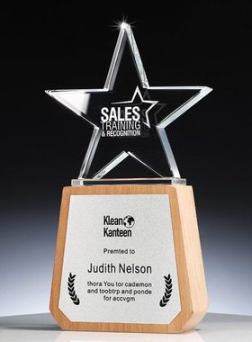 水晶五角星奖杯定制定做创意木头高档奖牌免费刻字协会公司颁奖品