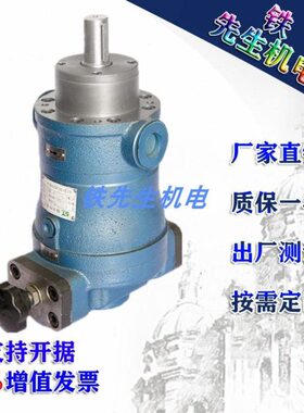 宏达精工恒高10SCY 25MCY 32 40 63 80PCY 100 160YCY14-1B柱塞泵