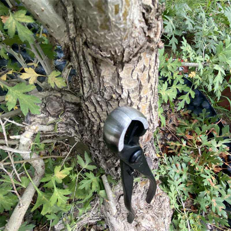 新品盆景工具大全青辰球节剪修枝剪斜口球形剪破杆钳园艺专用造型