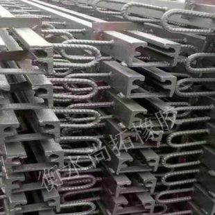 RG406080 C40 F60 SQ4060带胶条 E80 桥梁型钢伸缩缝毛勒缝GQF