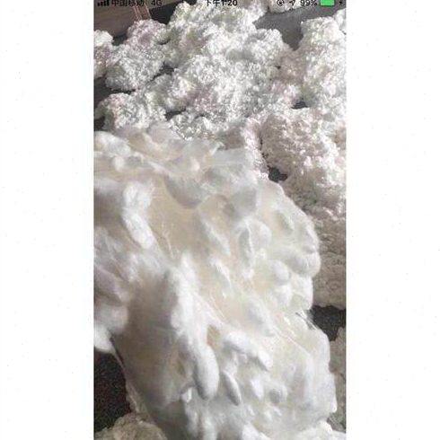 大个桑蚕精干茧 现场开茧机抽丝机可用 蚕丝原料蚕茧球 蚕丝厂家