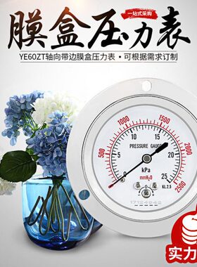 YE60ZT膜盒压力表轴向带边不锈钢壳60mm带调零微压燃气表螺纹1/4