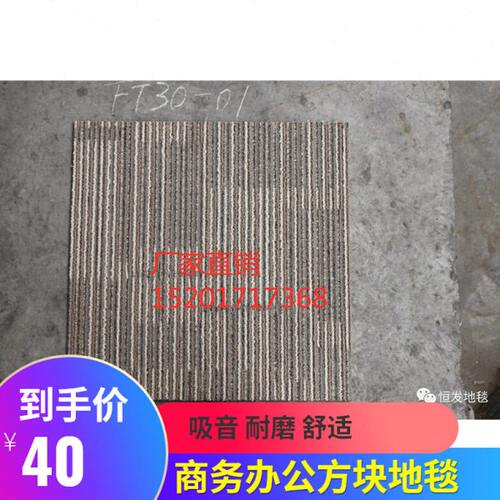办公写字楼方块拼接吸尘环保隔音阻燃商用满铺恒发FT30条纹地毯垫
