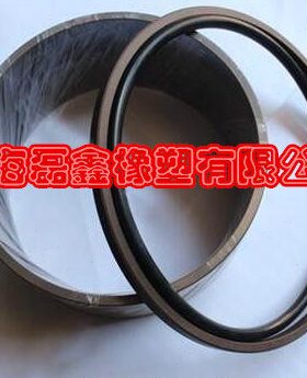 STD格来圈GSF240*219*8.1(O型圈在内) 活塞组合油封PG孔用
