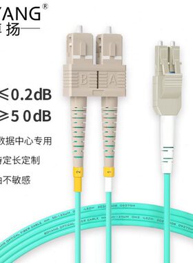 博扬 OM3万兆铠装光纤跳线LC-SC 5米 多模尾纤 一管双芯Uniboot