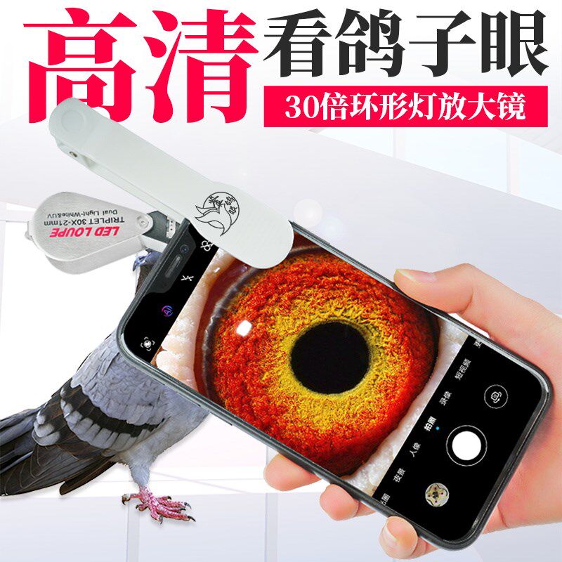 鸽眼放大镜30倍信鸽用品具高清手机微距拍照便携式老花带灯led 镜