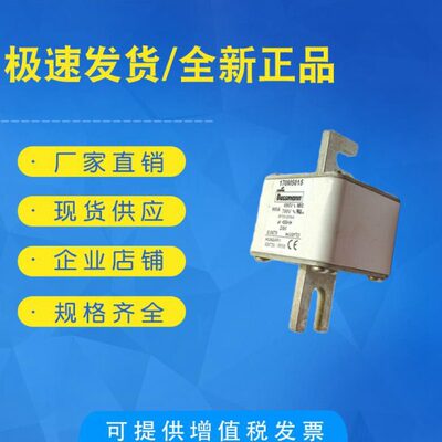 全新现货170M3062 170M3063 170M3064 170M3065巴斯曼熔断器