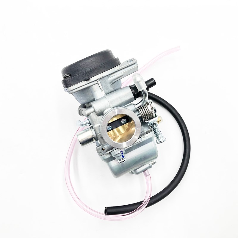 摩托车钱江龙QJ150-19C/19A御龙QJ125-26A 蓝宝龙QJ150-17A化油器