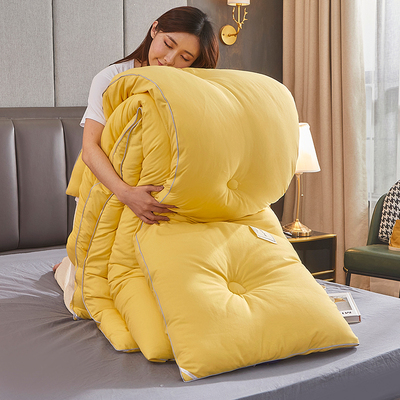 被子冬被春秋被芯双单人宿舍丝棉被儿童太空调被薄夏凉被四季通用