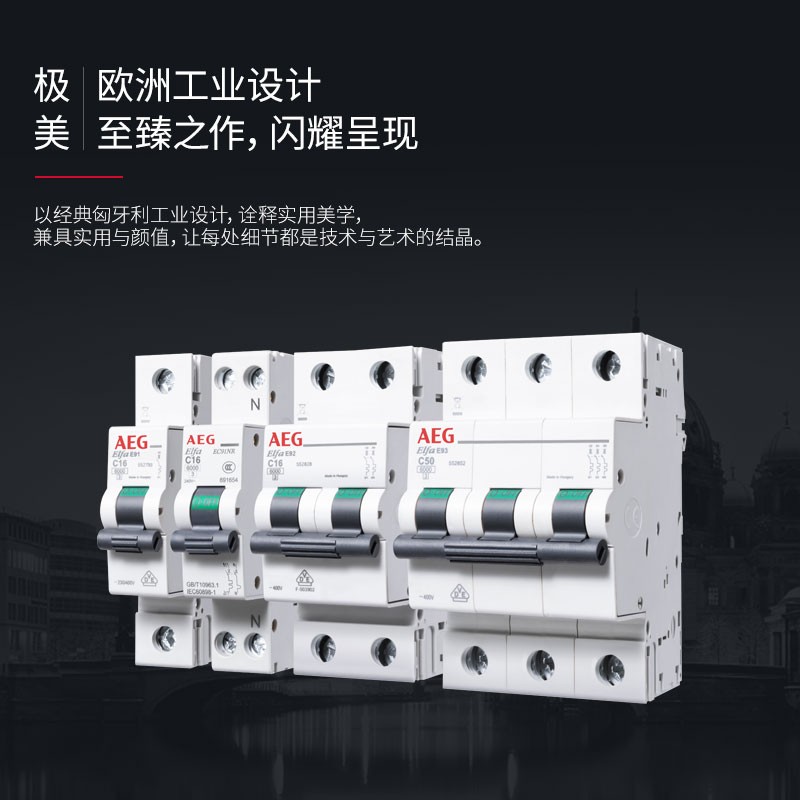 AEG空气开关1P断路器2P总开保护器家用63A短路保护