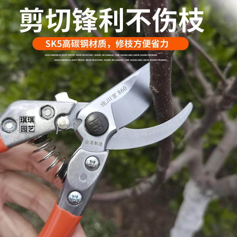 台湾佐川吉新款860园艺剪刀手剪园林修枝剪果树剪整枝采果剪花剪