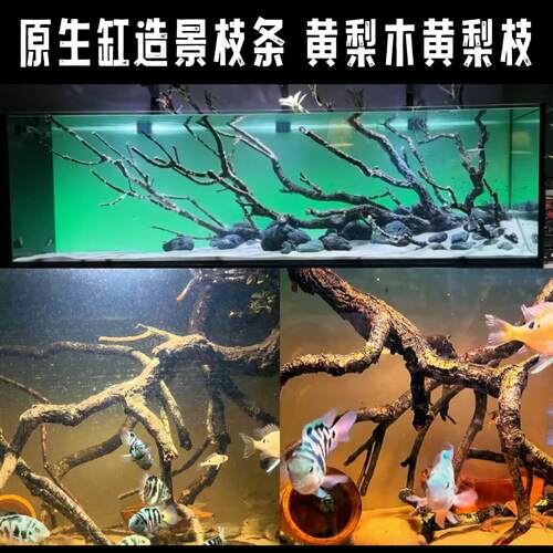 黄梨枝造景鱼缸沉木鹿角枝黄梨木枝条原生缸雨林缸爬宠原生态景观
