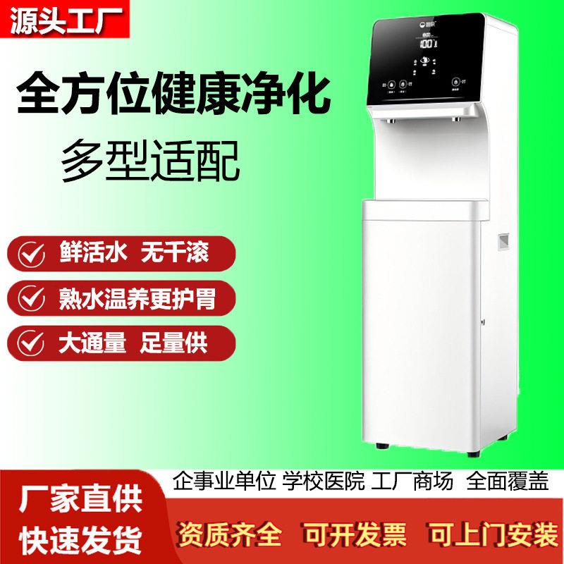 碧丽商用直饮机智能客厅端饮水机净水器设备K-LV9家用饮水机