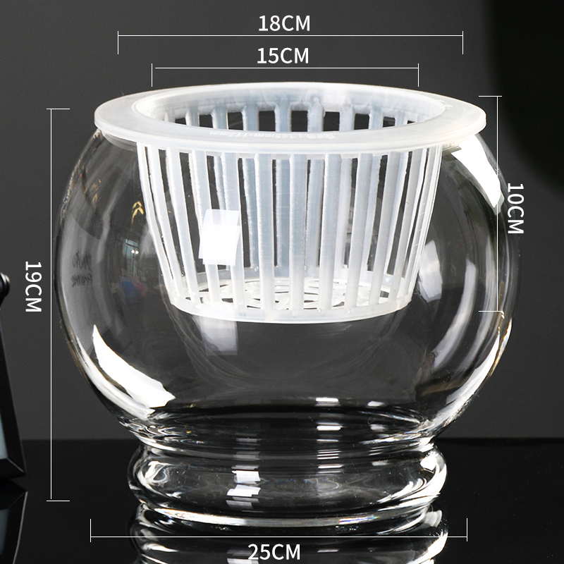 水培植物玻璃瓶水养绿萝花瓶x花盆大号透明玻璃圆球鱼缸器皿容器