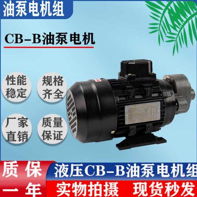 6B55W/-ZC10BBBK润滑 JC0B/CB2.5-W锯床B0组./-37电机4.齿轮油泵