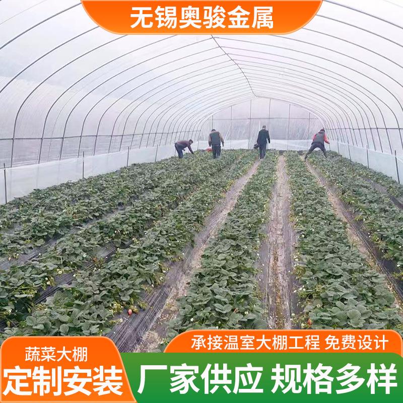 蔬菜温室大棚种植西瓜草莓育苗大棚8米6米宽简易热镀锌大棚冷棚