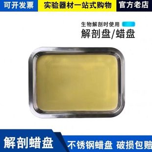 初中高中生物实验器材学生用生物教学仪器 26cm蜡盘 解剖盘