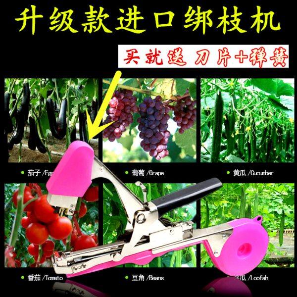 绑黄瓜绑枝机胶带绑枝神器葡萄西红柿绑枝机绑藤绑蔓器捆绑机钉子,农机/农具/农膜,绑枝机/绑蔓机,淘宝优惠券,粉丝福利购,淘宝优惠卷