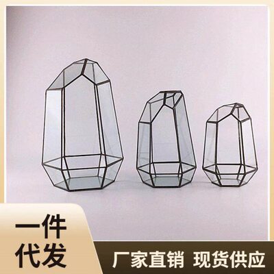 56PC迷你玻璃花房花瓶摆件 客厅 插花花盆简约多肉植物微景观