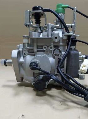 南京威孚金宁油泵NJ-VE4/11E1100R173新柴4D32T3拖拉机0002060173