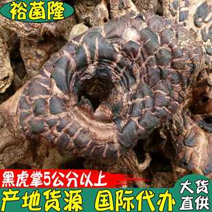 【裕菌隆】黑虎掌韩国干燥能力蘑菇A级能尔蘑菇干虎掌菌产地