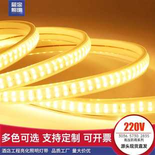 220V灯带led吊顶藏光线条灯户外防雨亮化照明高亮柔性软灯条2835