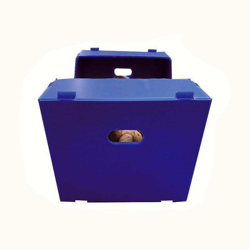 土豆周转箱加厚仓库pp中空板包装箱蔬菜中空板骨架箱,橡塑材料及制品,其他橡胶制品,淘宝优惠券,粉丝福利购,淘宝优惠卷